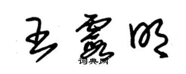 朱錫榮王霞明草書個性簽名怎么寫