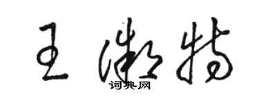 駱恆光王微特草書個性簽名怎么寫