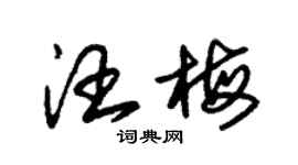 朱錫榮汪梅草書個性簽名怎么寫