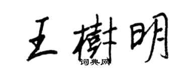 王正良王樹明行書個性簽名怎么寫