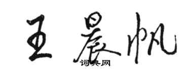 駱恆光王晨帆行書個性簽名怎么寫