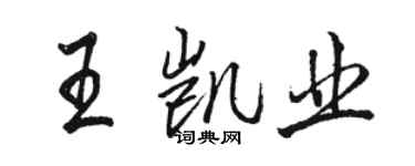 駱恆光王凱業行書個性簽名怎么寫