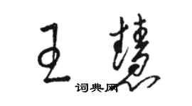 駱恆光王慧草書個性簽名怎么寫