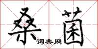 何伯昌桑菌楷書怎么寫