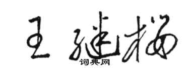駱恆光王繼櫻草書個性簽名怎么寫