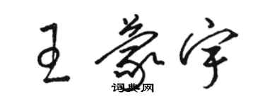 駱恆光王蒙宇草書個性簽名怎么寫