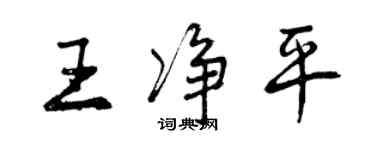 曾慶福王淨平行書個性簽名怎么寫