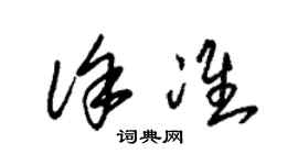 朱錫榮徐準草書個性簽名怎么寫