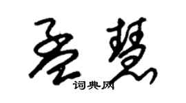 朱錫榮孟慧草書個性簽名怎么寫