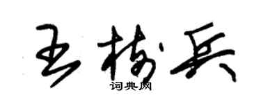 朱錫榮王樹兵草書個性簽名怎么寫