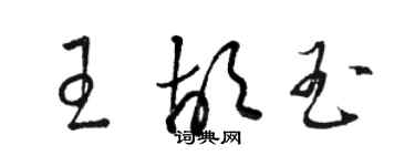 駱恆光王胡玉草書個性簽名怎么寫