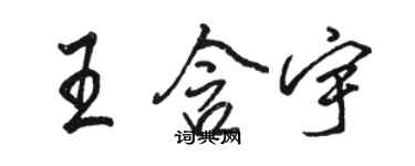 駱恆光王含宇行書個性簽名怎么寫