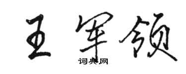 駱恆光王軍領行書個性簽名怎么寫