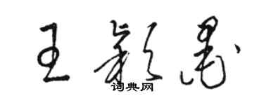 駱恆光王穎墨草書個性簽名怎么寫