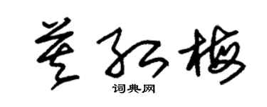 朱錫榮莫紅梅草書個性簽名怎么寫