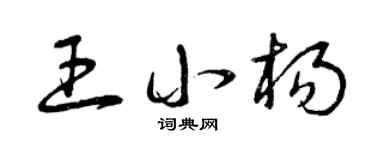 曾慶福王小楊草書個性簽名怎么寫