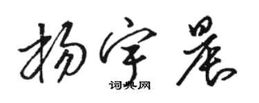 駱恆光楊宇晨草書個性簽名怎么寫