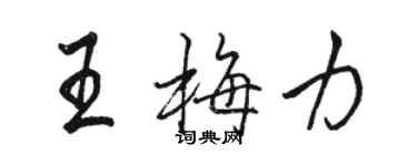 駱恆光王梅力行書個性簽名怎么寫