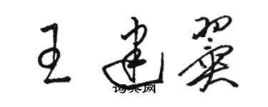 駱恆光王建翼草書個性簽名怎么寫