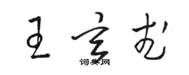 駱恆光王玄武草書個性簽名怎么寫