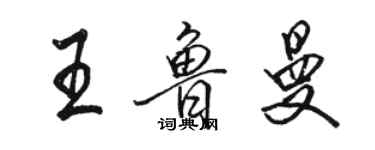 駱恆光王魯曼行書個性簽名怎么寫