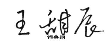駱恆光王甜辰草書個性簽名怎么寫