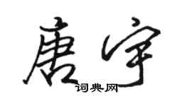 駱恆光唐宇行書個性簽名怎么寫