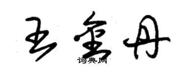 朱錫榮王金丹草書個性簽名怎么寫