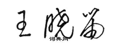 駱恆光王曉笛草書個性簽名怎么寫