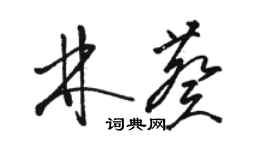 駱恆光林葵草書個性簽名怎么寫