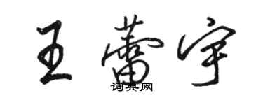 駱恆光王蕾宇行書個性簽名怎么寫