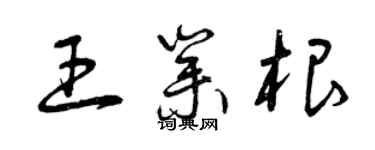 曾慶福王業根草書個性簽名怎么寫