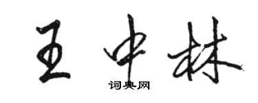 駱恆光王中林行書個性簽名怎么寫