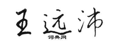 駱恆光王遠沛行書個性簽名怎么寫