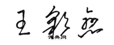 駱恆光王彩戀草書個性簽名怎么寫