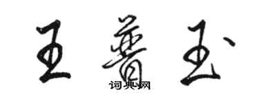 駱恆光王普玉行書個性簽名怎么寫