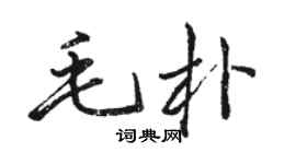 駱恆光毛朴行書個性簽名怎么寫