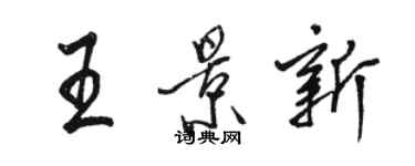 駱恆光王景新行書個性簽名怎么寫