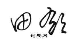 駱恆光田郁草書個性簽名怎么寫