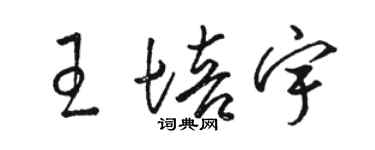 駱恆光王培宇草書個性簽名怎么寫