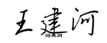 王正良王建河行書個性簽名怎么寫