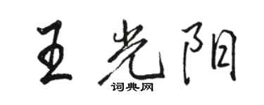 駱恆光王光陽行書個性簽名怎么寫