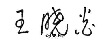 駱恆光王曉炎草書個性簽名怎么寫