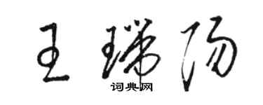 駱恆光王瑞陽草書個性簽名怎么寫