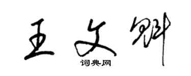 梁錦英王文魁草書個性簽名怎么寫