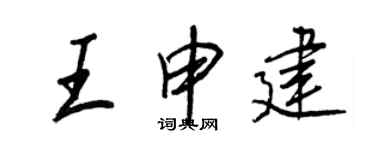 王正良王申建行書個性簽名怎么寫