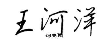 王正良王河洋行書個性簽名怎么寫