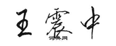 駱恆光王震中行書個性簽名怎么寫