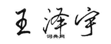 駱恆光王澤宇行書個性簽名怎么寫