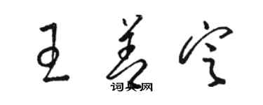 駱恆光王善定草書個性簽名怎么寫